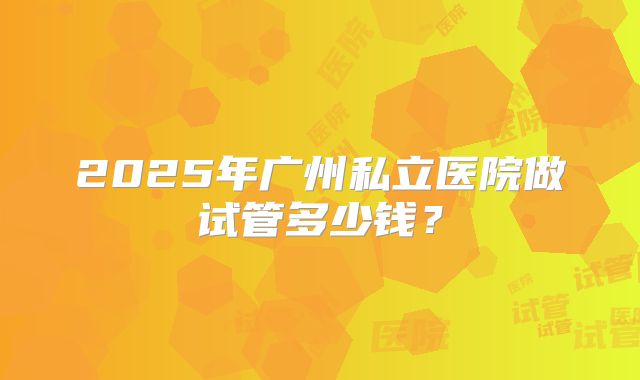 2025年广州私立医院做试管多少钱？