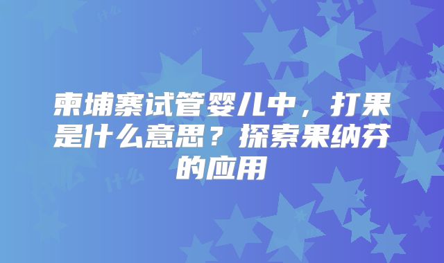 柬埔寨试管婴儿中，打果是什么意思？探索果纳芬的应用
