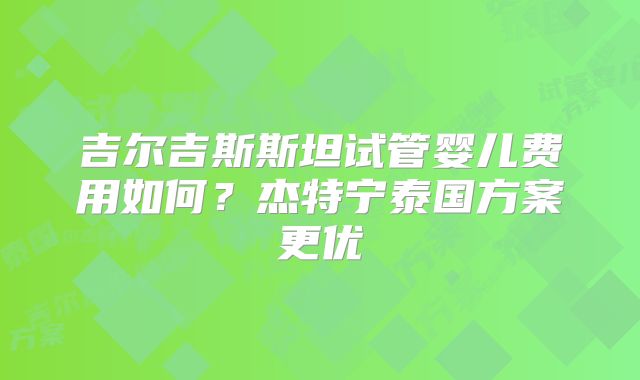 吉尔吉斯斯坦试管婴儿费用如何?杰特宁泰国方案更优