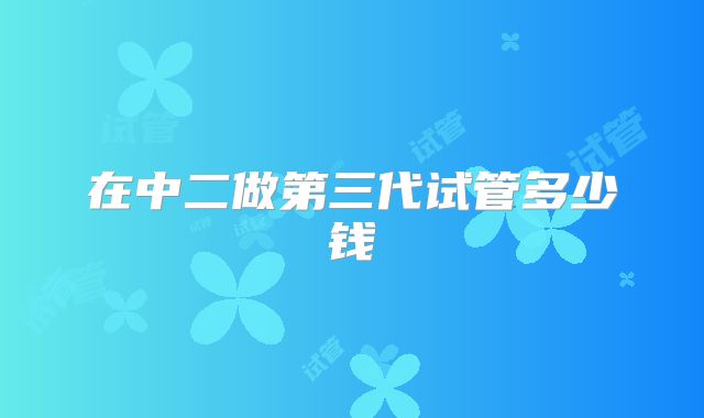 在中二做第三代试管多少钱
