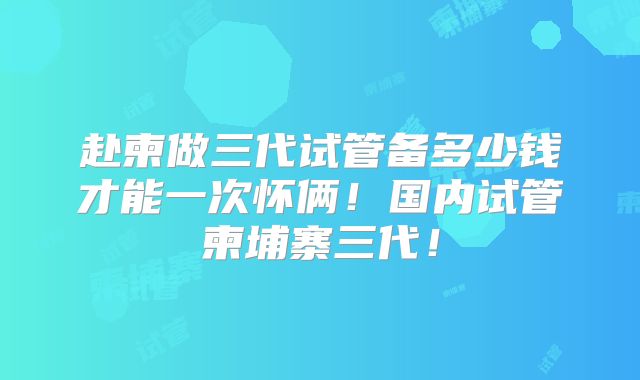 赴柬做三代试管备多少钱才能一次怀俩！国内试管柬埔寨三代！