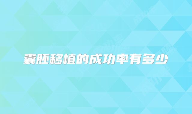 囊胚移植的成功率有多少