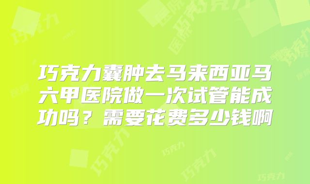 巧克力囊肿去马来西亚马六甲医院做一次试管能成功吗？需要花费多少钱啊