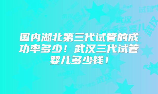 国内湖北第三代试管的成功率多少！武汉三代试管婴儿多少钱！