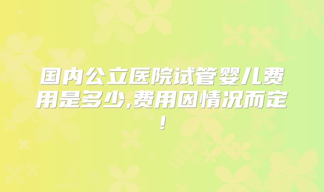 国内公立医院试管婴儿费用是多少,费用因情况而定!