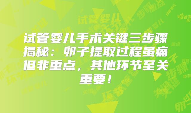试管婴儿手术关键三步骤揭秘：卵子提取过程虽痛但非重点，其他环节至关重要！