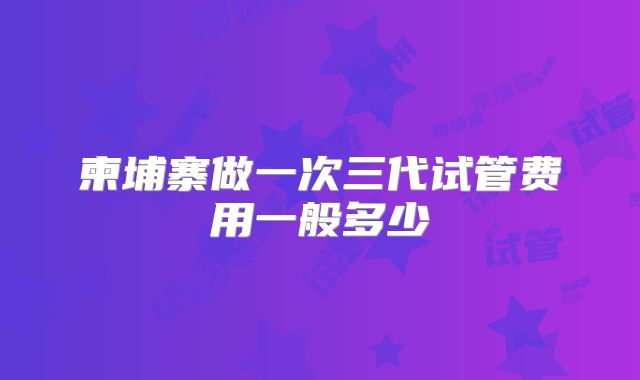 柬埔寨做一次三代试管费用一般多少