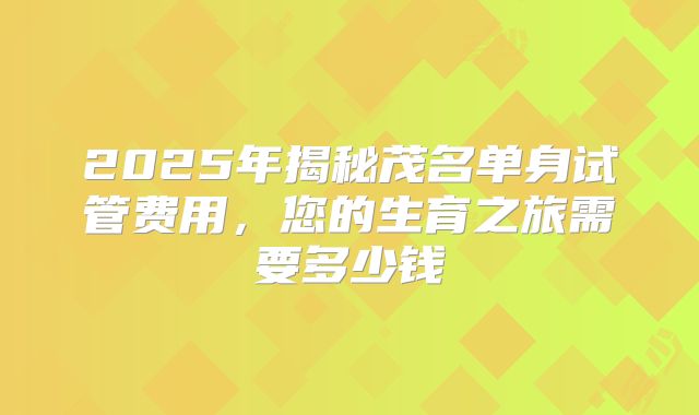 2025年揭秘茂名单身试管费用，您的生育之旅需要多少钱