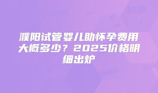 濮阳试管婴儿助怀孕费用大概多少?2025价格明细出炉