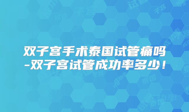 双子宫手术泰国试管痛吗-双子宫试管成功率多少！