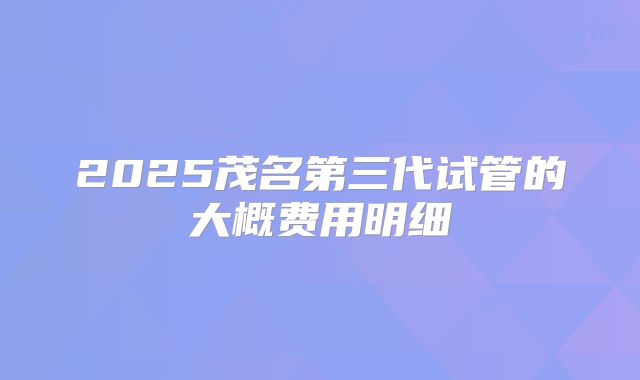 2025茂名第三代试管的大概费用明细