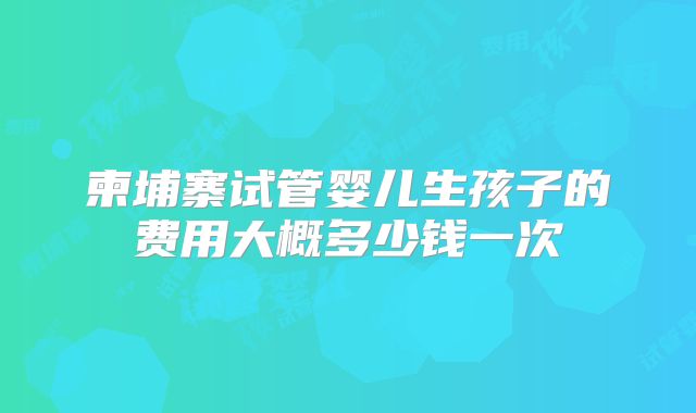 柬埔寨试管婴儿生孩子的费用大概多少钱一次