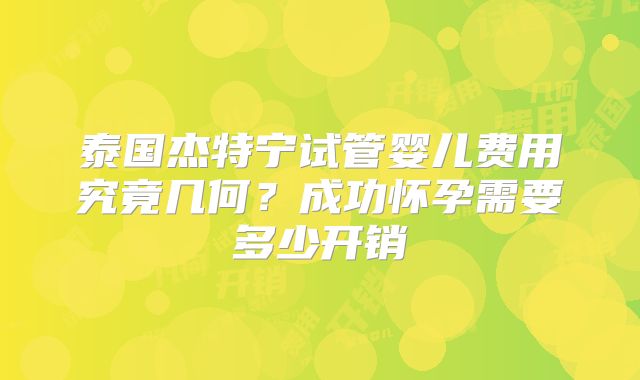 泰国杰特宁试管婴儿费用究竟几何？成功怀孕需要多少开销