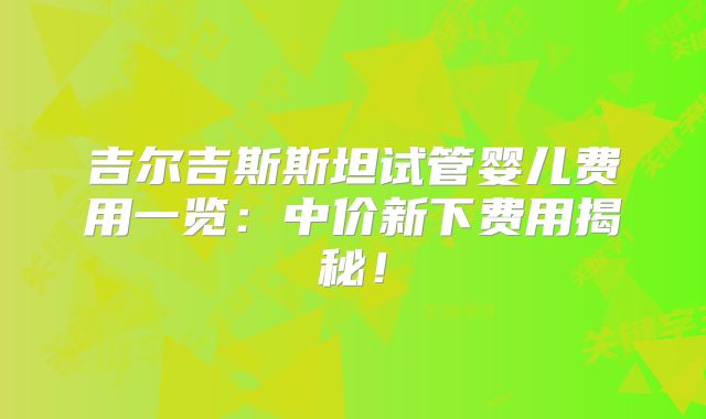 吉尔吉斯斯坦试管婴儿费用一览:中价新下费用揭秘!
