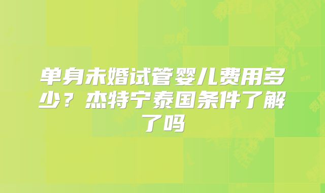 单身未婚试管婴儿费用多少?杰特宁泰国条件了解了吗