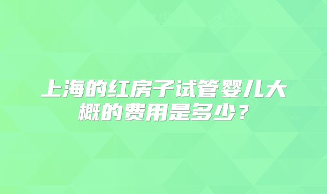 上海的红房子试管婴儿大概的费用是多少？