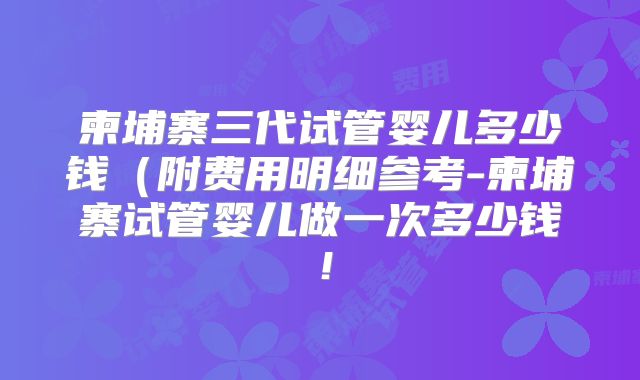 柬埔寨三代试管婴儿多少钱（附费用明细参考-柬埔寨试管婴儿做一次多少钱！