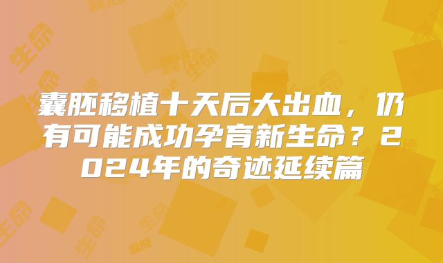 囊胚移植十天后大出血，仍有可能成功孕育新生命？2024年的奇迹延续篇