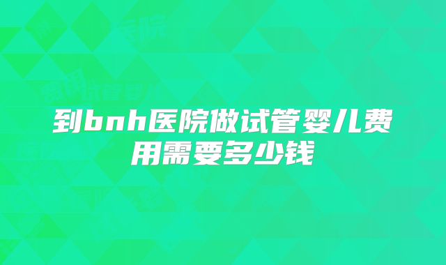 到bnh医院做试管婴儿费用需要多少钱