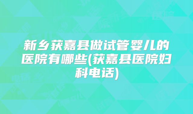 新乡获嘉县做试管婴儿的医院有哪些(获嘉县医院妇科电话)