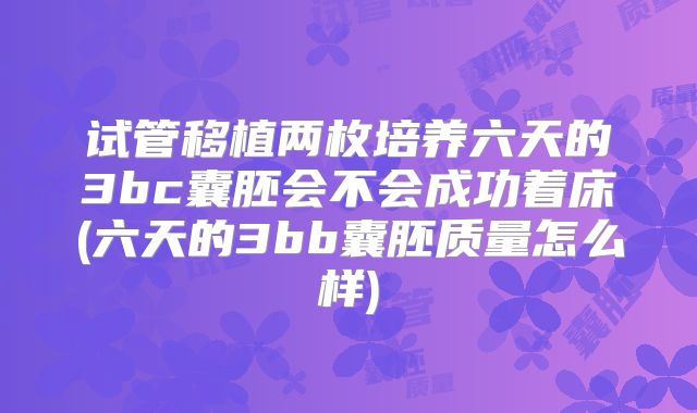 试管移植两枚培养六天的3bc囊胚会不会成功着床(六天的3bb囊胚质量怎么样)