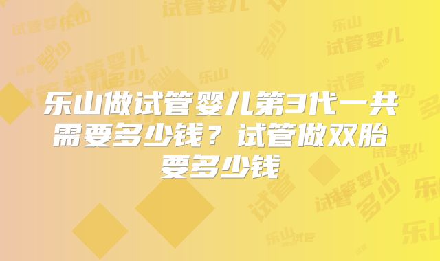 乐山做试管婴儿第3代一共需要多少钱？试管做双胎要多少钱