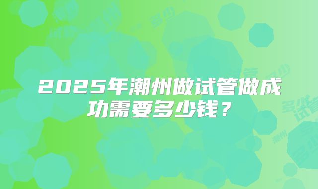 2025年潮州做试管做成功需要多少钱？