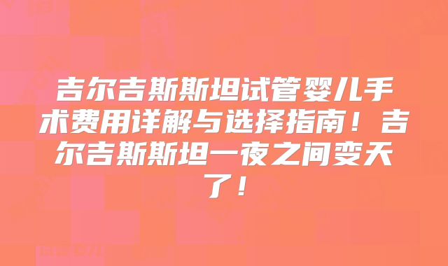 吉尔吉斯斯坦试管婴儿手术费用详解与选择指南！吉尔吉斯斯坦一夜之间变天了！
