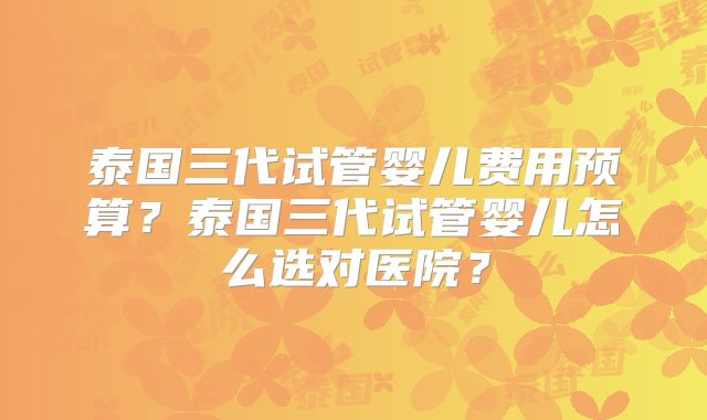泰国三代试管婴儿费用预算？泰国三代试管婴儿怎么选对医院？