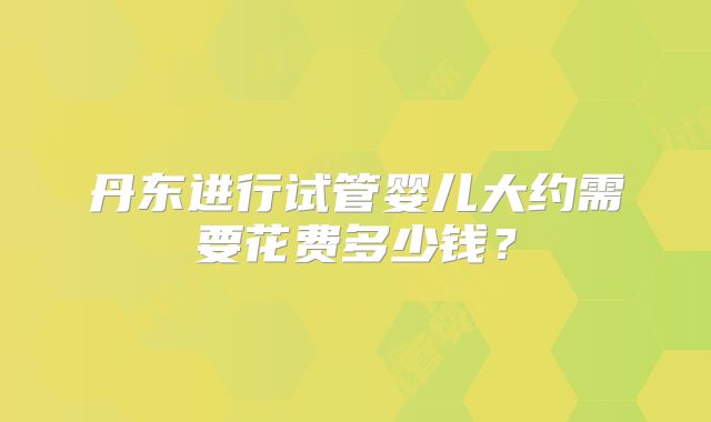 丹东进行试管婴儿大约需要花费多少钱？