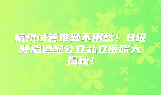 杭州试管难题不用愁!B级胚胎适配公立私立医院大揭秘!