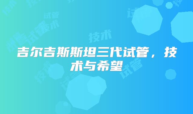 吉尔吉斯斯坦三代试管，技术与希望