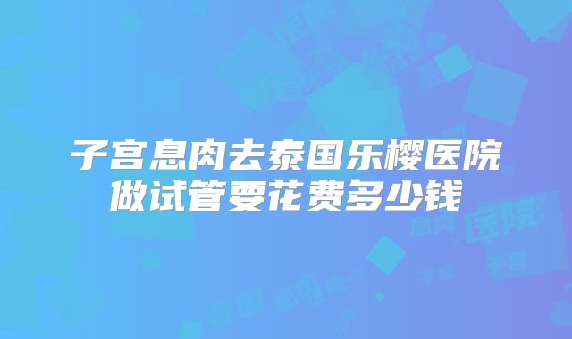 子宫息肉去泰国乐樱医院做试管要花费多少钱
