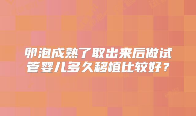卵泡成熟了取出来后做试管婴儿多久移植比较好?