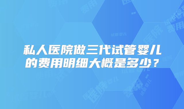 私人医院做三代试管婴儿的费用明细大概是多少？