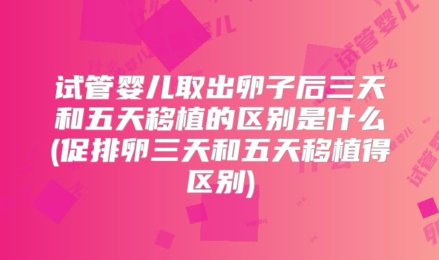 试管婴儿取出卵子后三天和五天移植的区别是什么(促排卵三天和五天移植得区别)