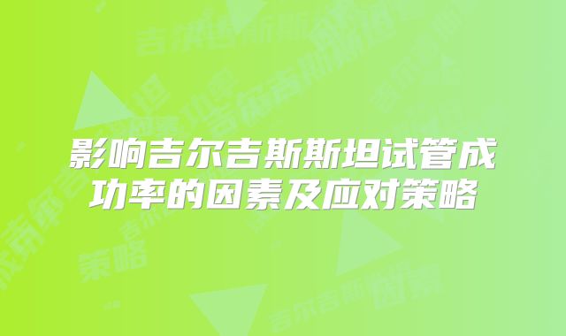 影响吉尔吉斯斯坦试管成功率的因素及应对策略