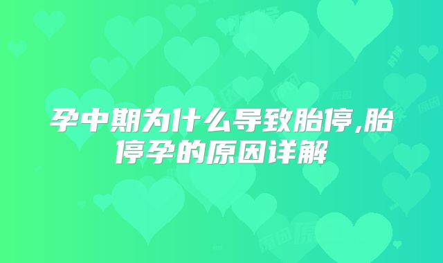 孕中期为什么导致胎停,胎停孕的原因详解