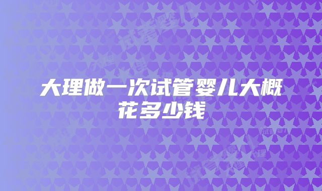 大理做一次试管婴儿大概花多少钱