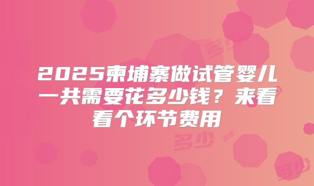 2025柬埔寨做试管婴儿一共需要花多少钱?来看看个环节费用