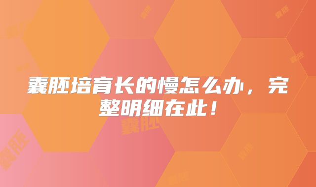囊胚培育长的慢怎么办，完整明细在此！