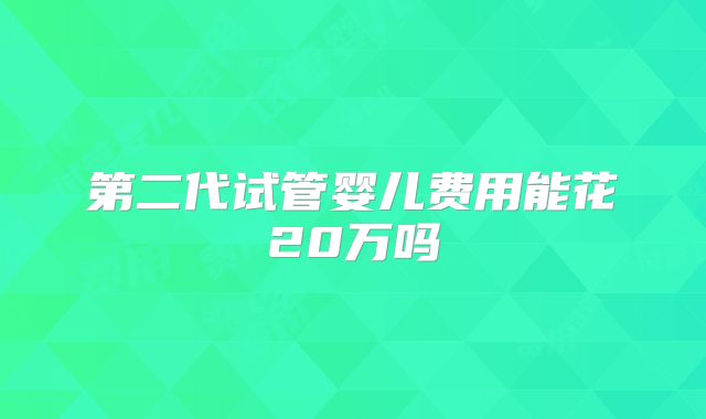 第二代试管婴儿费用能花20万吗