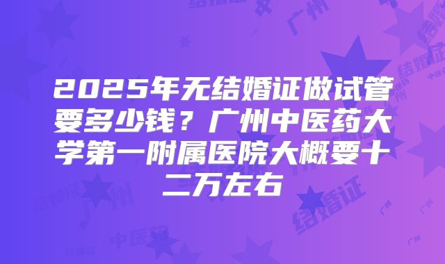 2025年无结婚证做试管要多少钱?广州中医药大学第一附属医院大概要十二万左右