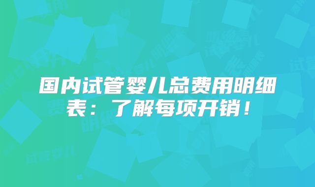 国内试管婴儿总费用明细表：了解每项开销！