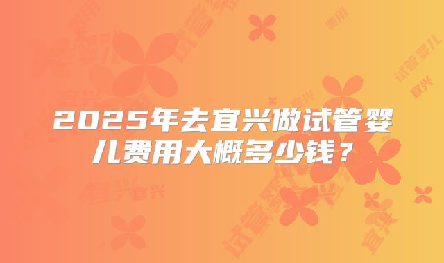 2025年去宜兴做试管婴儿费用大概多少钱?