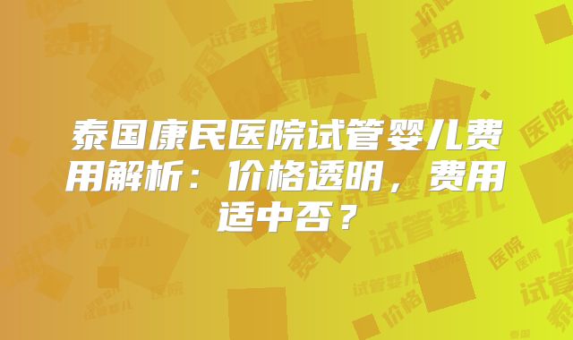 泰国康民医院试管婴儿费用解析：价格透明，费用适中否？