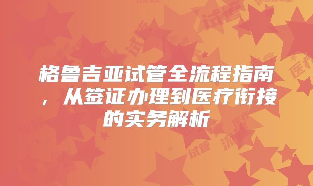 格鲁吉亚试管全流程指南，从签证办理到医疗衔接的实务解析
