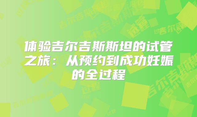 体验吉尔吉斯斯坦的试管之旅：从预约到成功妊娠的全过程
