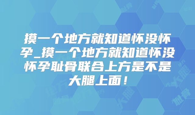 摸一个地方就知道怀没怀孕_摸一个地方就知道怀没怀孕耻骨联合上方是不是大腿上面!
