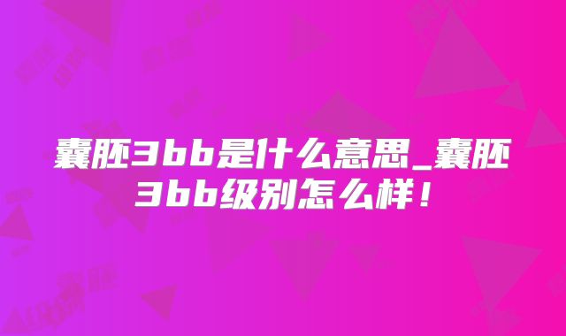 囊胚3bb是什么意思_囊胚3bb级别怎么样！